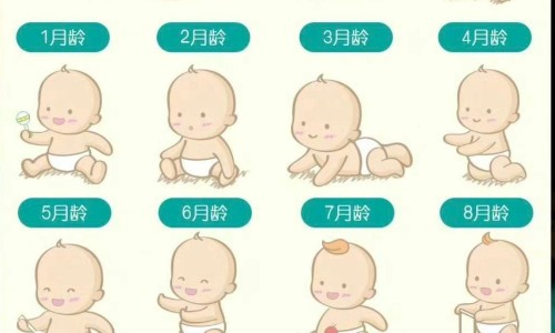 睾丸皮有疙瘩是怎么回事图片网睾丸皮下有很多白色硬疙瘩是什么知识网站,分享睾丸皮肤痒是怎么回事大全